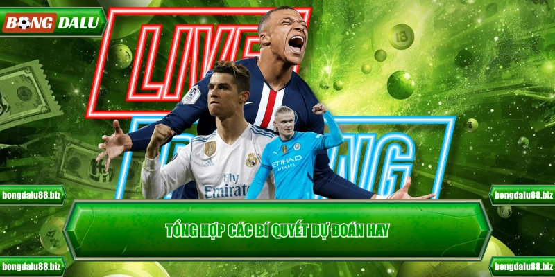 Tổng hợp các bí quyết dự đoán hay